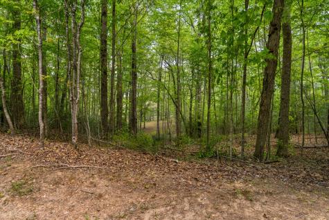 Lot 3-4 Scouts Overlook Lane Morganton GA 30560