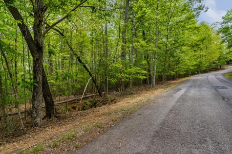 Lot 3-4 Scouts Overlook Lane Morganton GA 30560