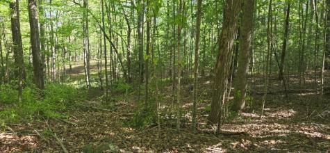 Lot 3-4 Scouts Overlook Lane Morganton GA 30560