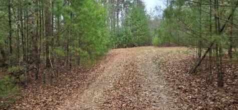 Lot 3-4 Scouts Overlook Lane Morganton GA 30560