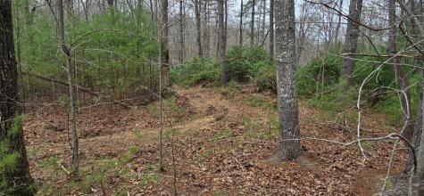 Lot 3-4 Scouts Overlook Lane Morganton GA 30560