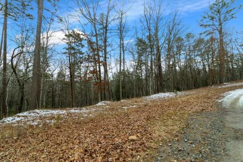 Lot 5 Curtis Ridge Road Blue Ridge GA 30513