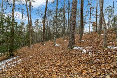 Lot 5 Curtis Ridge Road Blue Ridge GA 30513