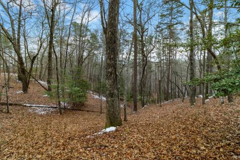 Lot 5 Curtis Ridge Road Blue Ridge GA 30513