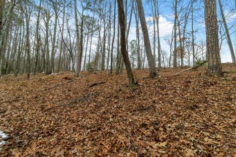 Lot 5 Curtis Ridge Road Blue Ridge GA 30513
