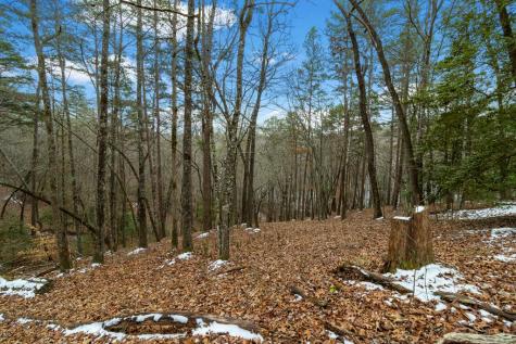 Lot 5 Curtis Ridge Road Blue Ridge GA 30513