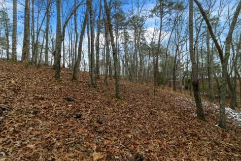 Lot 5 Curtis Ridge Road Blue Ridge GA 30513