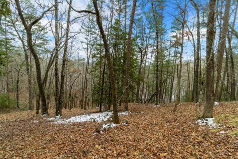 Lot 5 Curtis Ridge Road Blue Ridge GA 30513