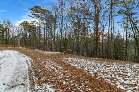 Lot 5 Curtis Ridge Road Blue Ridge GA 30513