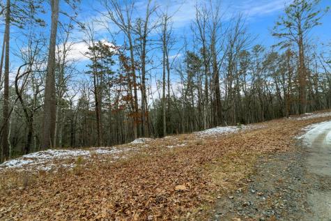 Lot 5 Curtis Ridge Road Blue Ridge GA 30513