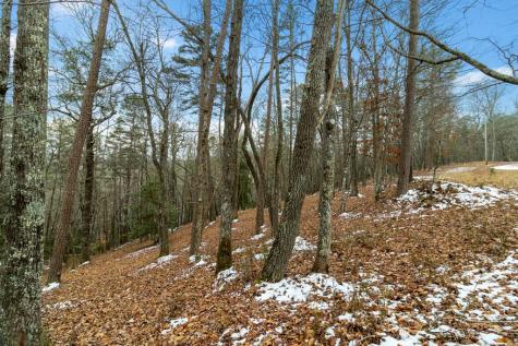 Lot 5 Curtis Ridge Road Blue Ridge GA 30513