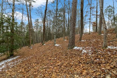 Lot 5 Curtis Ridge Road Blue Ridge GA 30513