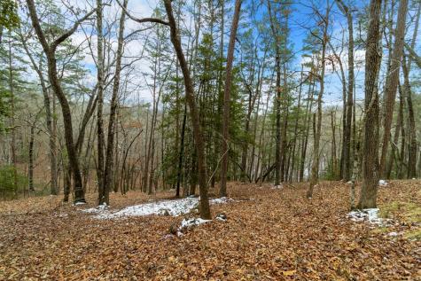 Lot 5 Curtis Ridge Road Blue Ridge GA 30513