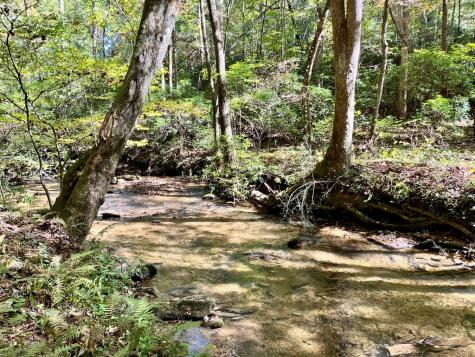 12.64 Ac Harrison Sluder Road Ellijay GA 30540
