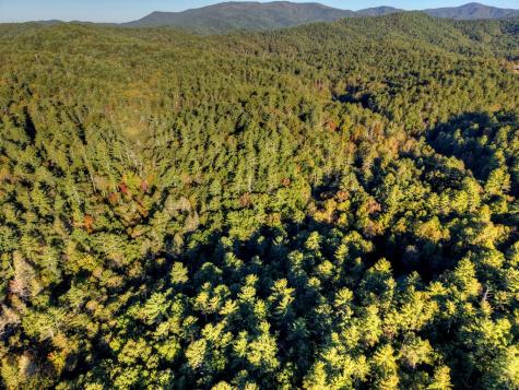 12.64 Ac Harrison Sluder Road Ellijay GA 30540