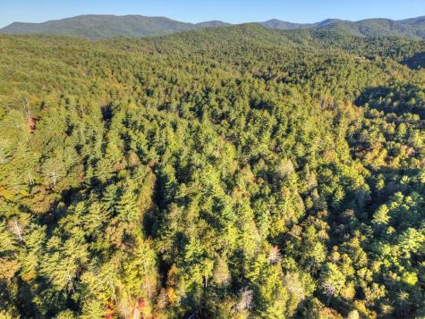 12.64 Ac Harrison Sluder Road Ellijay GA 30540