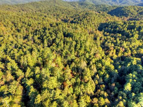 12.64 Ac Harrison Sluder Road Ellijay GA 30540