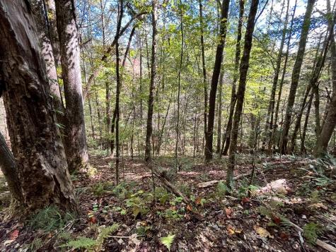 12.64 Ac Harrison Sluder Road Ellijay GA 30540