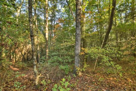 12.64 Ac Harrison Sluder Road Ellijay GA 30540