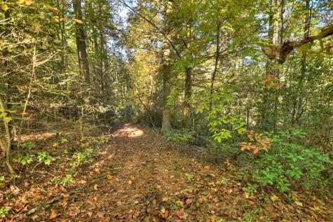 12.64 Ac Harrison Sluder Road Ellijay GA 30540