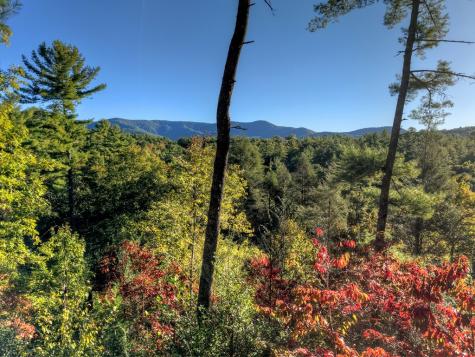 12.64 Ac Harrison Sluder Road Ellijay GA 30540