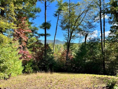 12.64 Ac Harrison Sluder Road Ellijay GA 30540