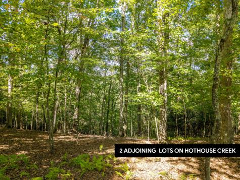 Lt 27/28 Donna Lee Lane Mineral Bluff GA 30559