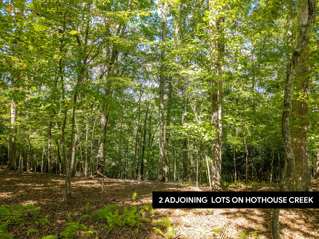 Lt 27/28 Donna Lee Lane Mineral Bluff GA 30559