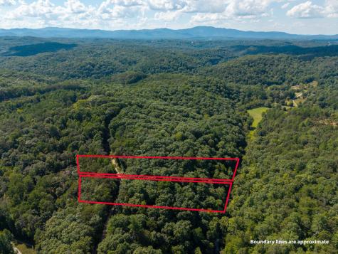 Lt 27/28 Donna Lee Lane Mineral Bluff GA 30559