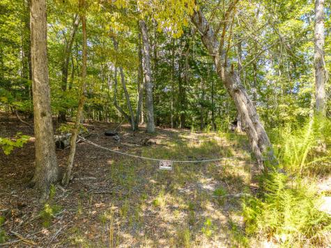 Lt 27/28 Donna Lee Lane Mineral Bluff GA 30559