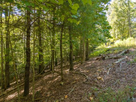 Lt 27/28 Donna Lee Lane Mineral Bluff GA 30559