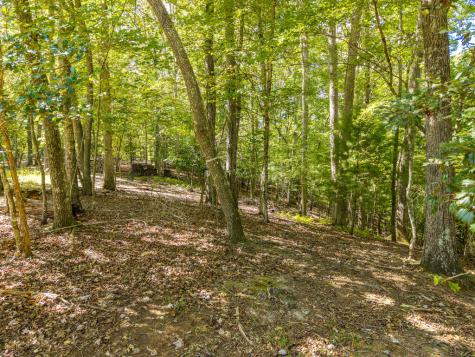 Lt 27/28 Donna Lee Lane Mineral Bluff GA 30559