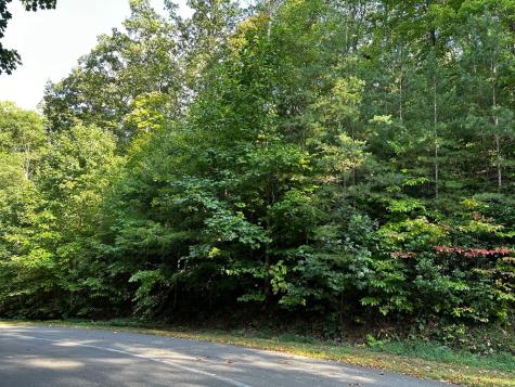 66 Street Andrews Way Ellijay GA 30536