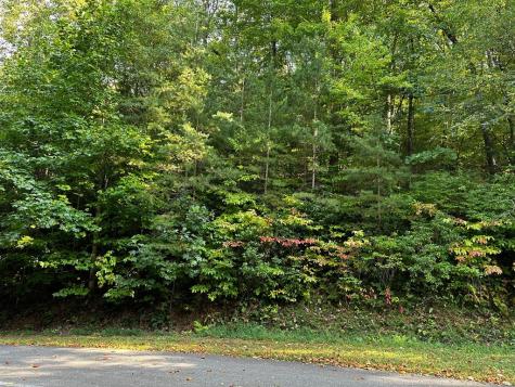 66 Street Andrews Way Ellijay GA 30536