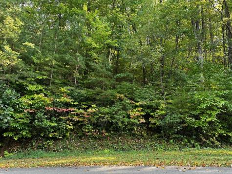 66 Street Andrews Way Ellijay GA 30536