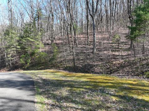 66 Street Andrews Way Ellijay GA 30536