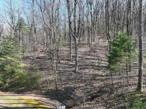 66 Street Andrews Way Ellijay GA 30536