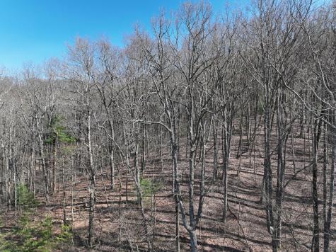 66 Street Andrews Way Ellijay GA 30536