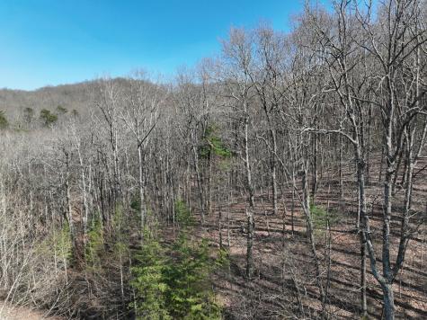 66 Street Andrews Way Ellijay GA 30536