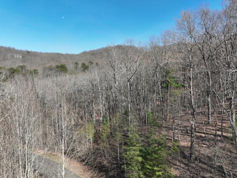 66 Street Andrews Way Ellijay GA 30536