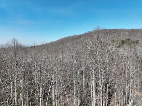 66 Street Andrews Way Ellijay GA 30536