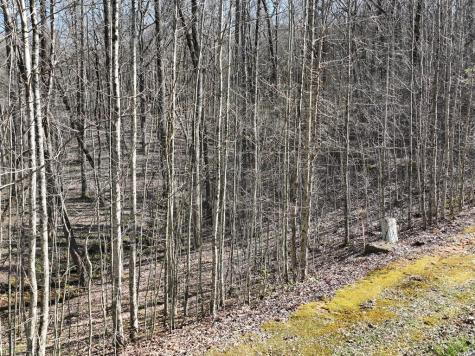 66 Street Andrews Way Ellijay GA 30536