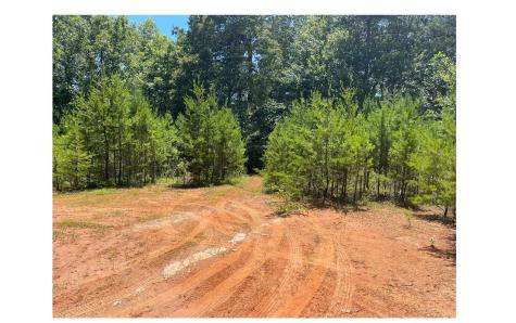 2603 Sunny Point Road Murphy NC 28906