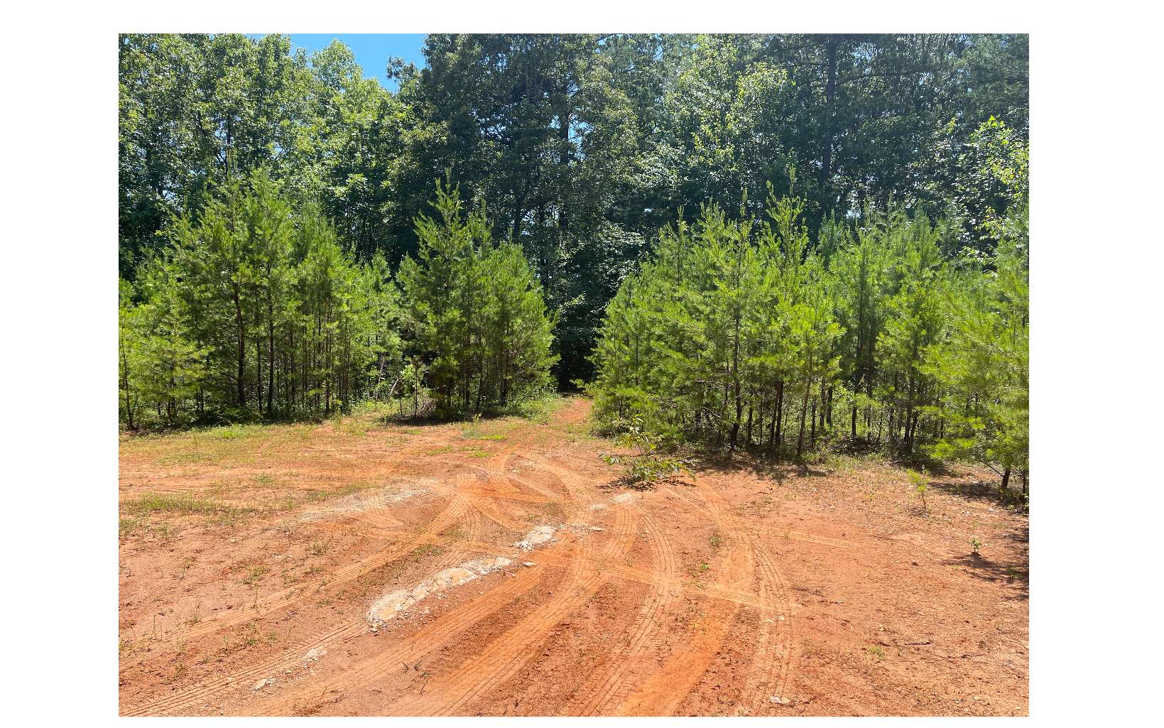 2603 Sunny Point Road Murphy NC 28906