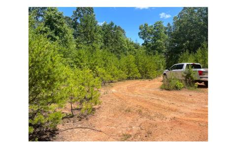 2603 Sunny Point Road Murphy NC 28906