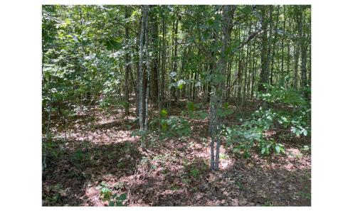 2603 Sunny Point Road Murphy NC 28906