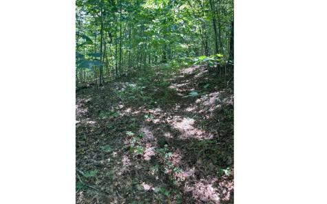 2603 Sunny Point Road Murphy NC 28906
