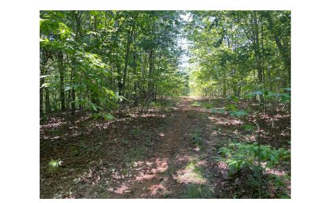 2603 Sunny Point Road Murphy NC 28906