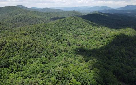 Trail 2 Cindy Cove Road Blairsville GA 30512