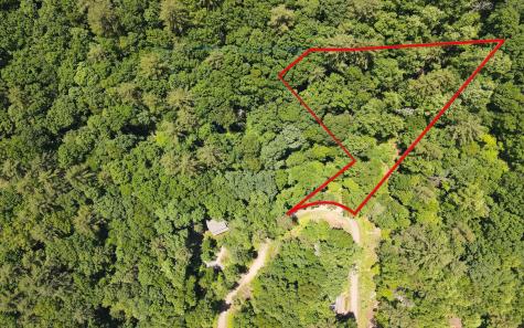 Trail 2 Cindy Cove Road Blairsville GA 30512